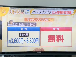 TBS「グッとラック」　伊藤早紀