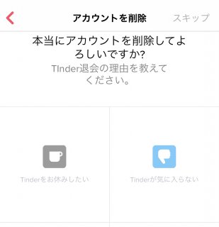 Tinderでアカウントを削除する理由入力画面